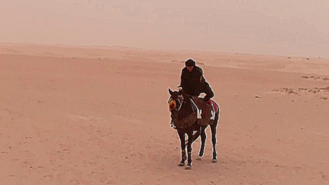 Всадник приветствует наш караван! Пустыня Сахара, Тунис 
