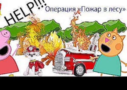 Щенячий патруль Пожар в лесу Fire in the forest 