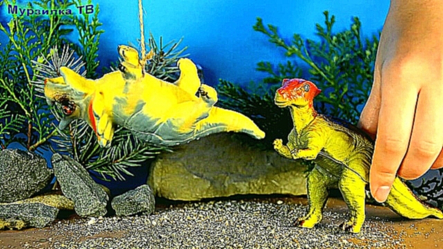 Тираннозавры и КУРИЦА :0 !!! Приключения ДИНОЗАВРОВ для детей 