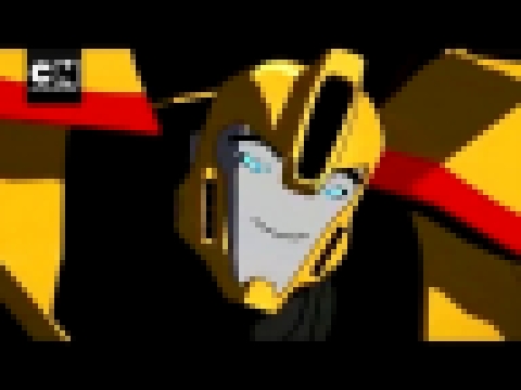 Bouncing Bumblebee I Transformers: Robots In Disguise I Cartoon Network 