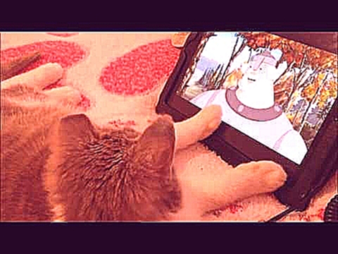 Кошка смотрит мультик Три богатыря I ЛапУшки Котейки 