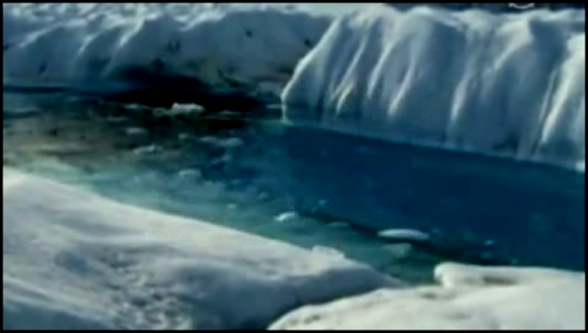 От Гренландии откололся гигантский кусок льда 