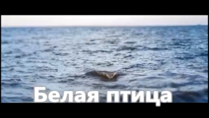 Музыкальный видеоклип Аня Воробей - Белая птица (NEW 2016) 