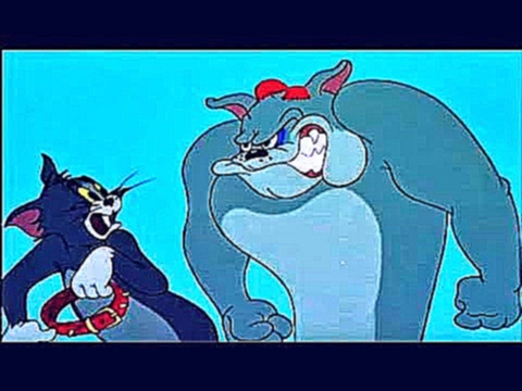 Том и Джерри  смотреть онлайн Мультик Игра [Tom and Jerry War of the Whiskers] мультфильм для детей 