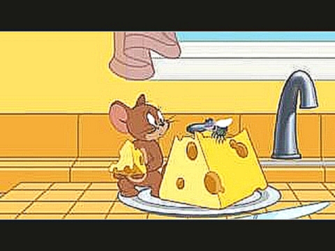 I Love Cheese | The Tom & Jerry Show | Cartoon World 