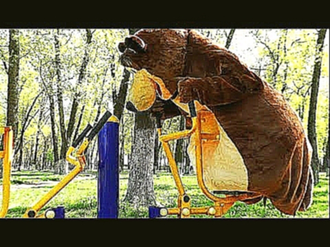 Маша и Медведь новые серии на спортивной площадке Миша Спортсмен Masha and the Bear new adventures 