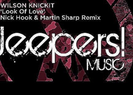 Музыкальный видеоклип Wilson Knickit - Look Of Love - Nick Hook & Martin Sharp Remix 