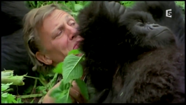 David Attenborough et les secrets des films animaliers 2-2 