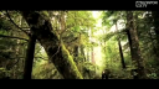 Музыкальный видеоклип Jasper Forks - River Flows In You 