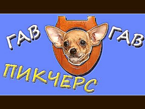 В гостях у Барбоса _ Советский мультфильм для детей про собак 