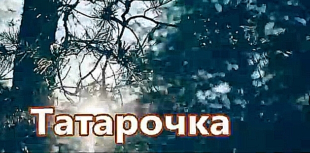 Музыкальный видеоклип Мурат Тхагалегов - Татарочка (NEW 2016) 