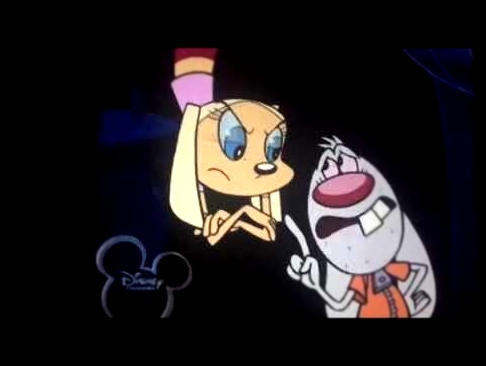 Brandy and mr whiskers believe the bunny Elmo’s world school 