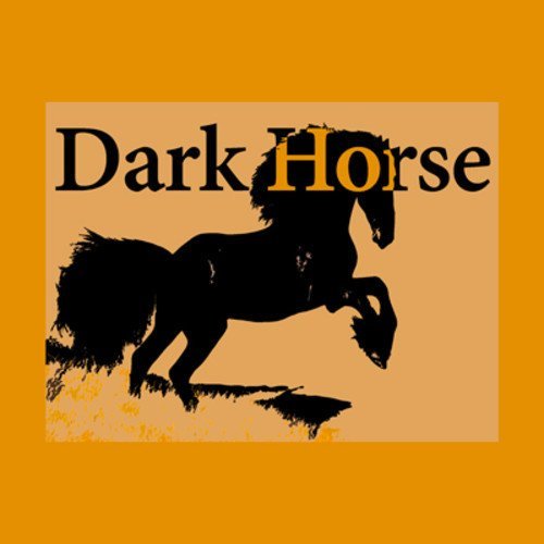 Dark Horse (Acoustic Version) [Katy Perry Cover] фото Bar Lounge