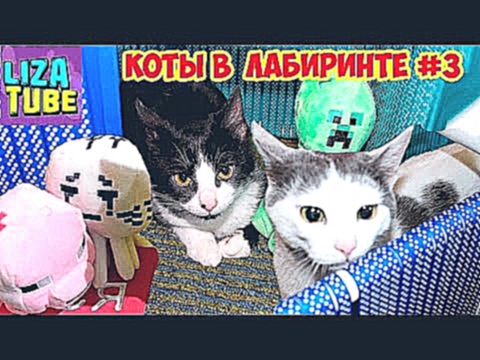ЛАБИРИНТ #3 для КОШЕК Коржик и Компот Три кота проходят лабиринт МАЙНКРАФТ 