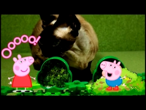 Свинка Пеппа история игрушек кошка Пенни охраняет Киндер  Фиксики Peppa Pig  Kinder Fixiki 