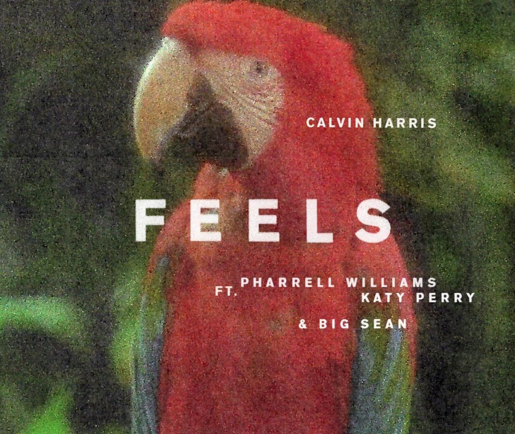 Feels фото Calvin Harris - Feels