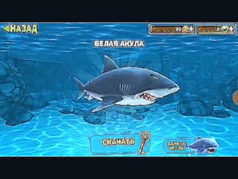 Стал злой Акулой в Мульт игре Hungry Shark едим рыбок и людей собираем золото  детский летсплей 
