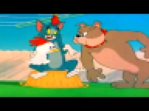 Tom and Jerry - Slicked-up Pup | том и джерри все серии | 2017 توم وجيري 