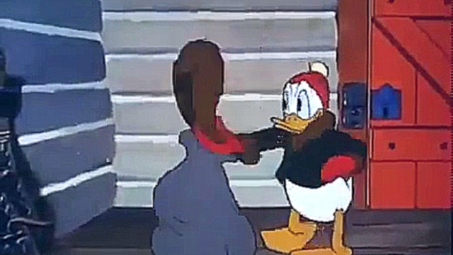 Donald Duck cartoons A16 