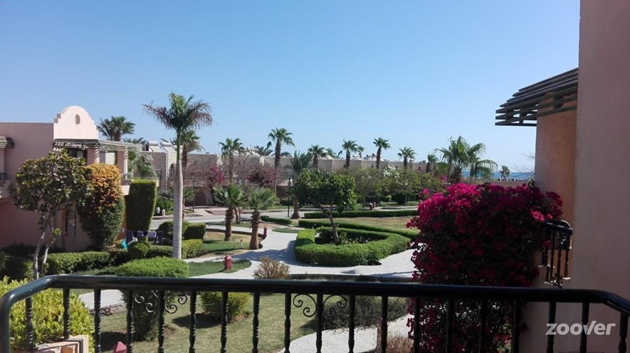 Paradise фото Luxor