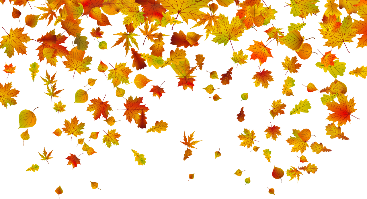 осенние листья фото Елена Антонова