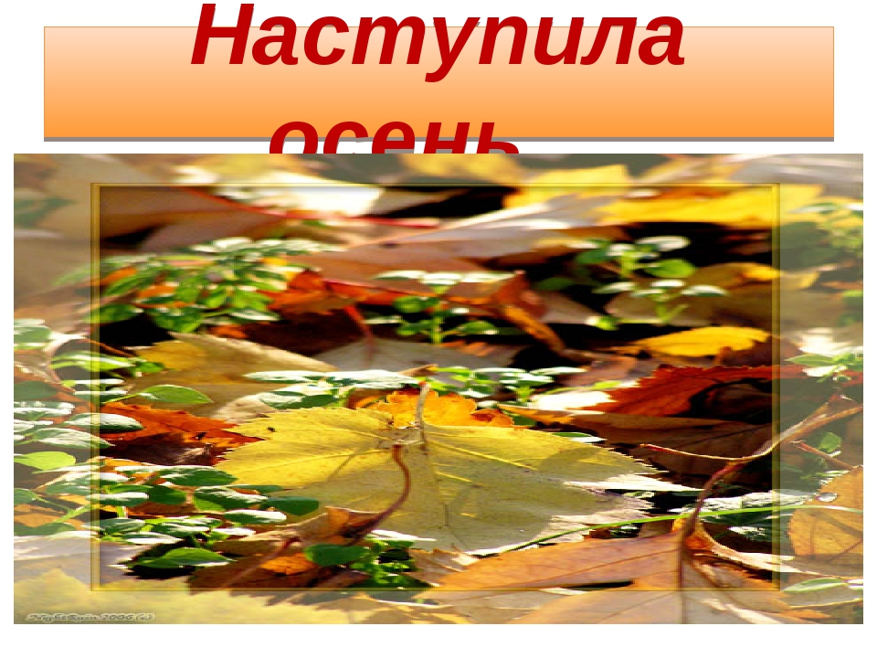Наступила осень фото Осенняя