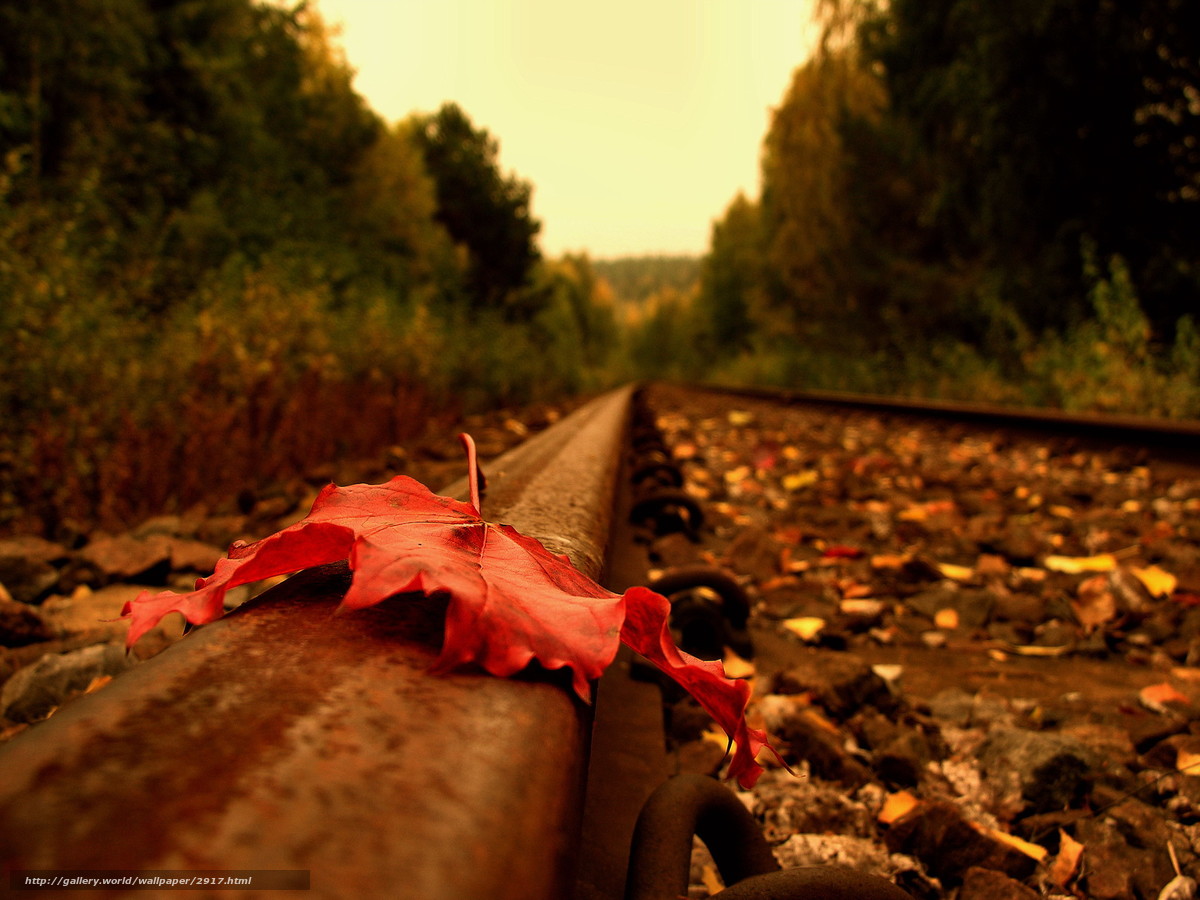 Осенние дорожки фото Песни про осень