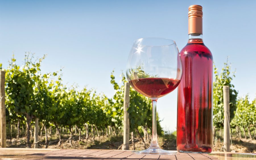 Розовое Вино фото виктория букина