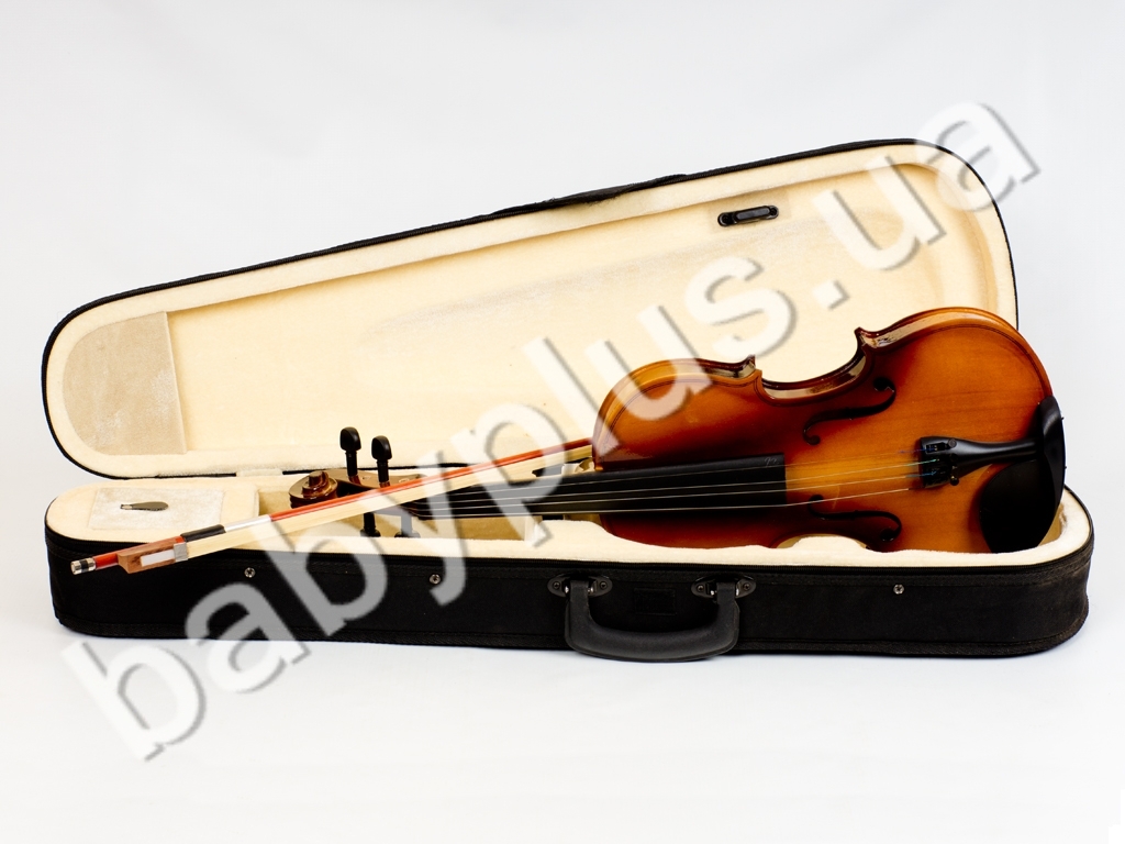 Скрипка фото Саша Сирень
