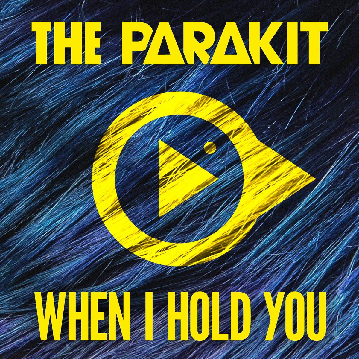 When I Hold You (feat. Alden Jacob) [Radio Edit] фото The Parakit feat. Alden Jacob
