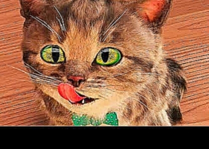 ПРИКЛЮЧЕНИЕ МАЛЕНЬКОГО КОТЕНКА мультик смешное видео для детей мультфильм про котиков #УШАСТИК КИДС 