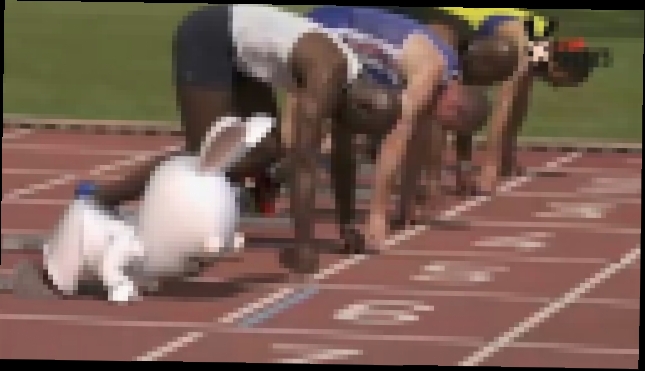 Музыкальный видеоклип Кролики на 100-метровке 