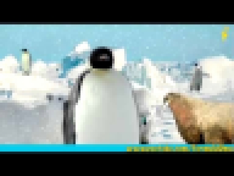 Почему пингвины не мерзнут босиком? мультфильмы для умных детей "Формула Ума!" 
