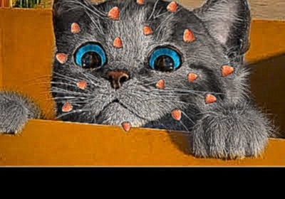 ПРИКЛЮЧЕНИЕ МАЛЕНЬКОГО КОТЕНКА / мультфильм про котика для детей / Спасаем и лечим кота #пурумчата 