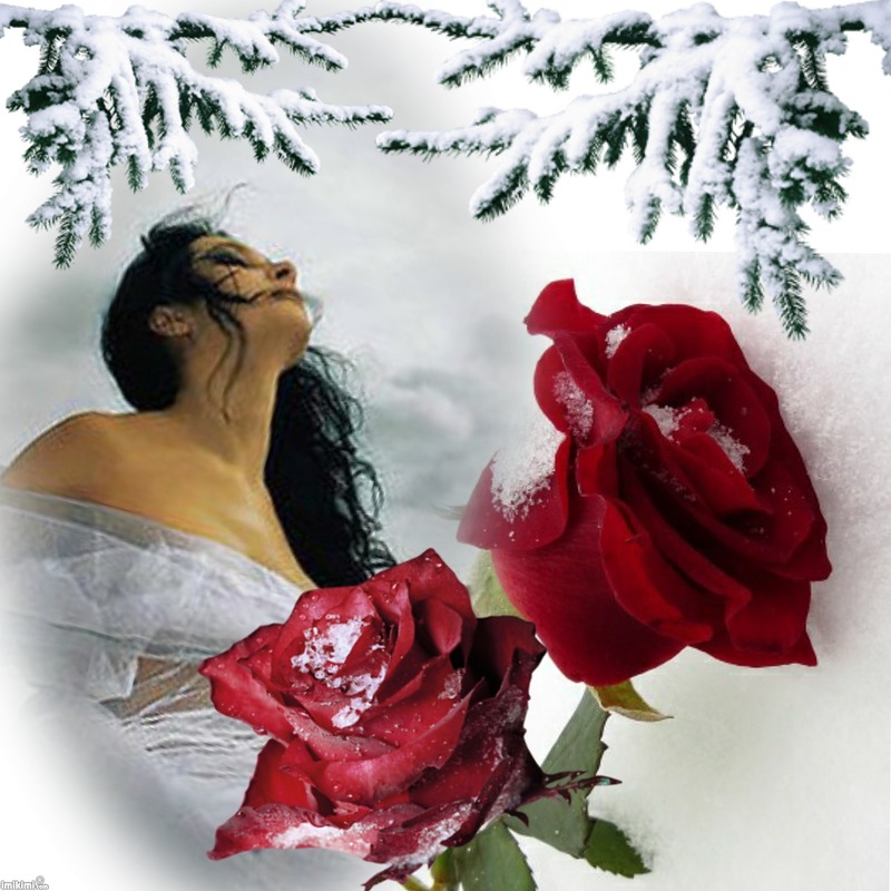 Белый снег фото (2003 - Розы) Кабриолет