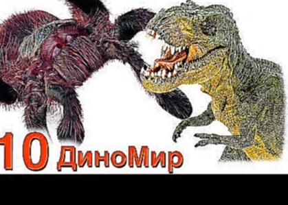 Мультфильм для детей Динозавры спасают Тиранозавра от гигантского паука в сезон дождей - #10 