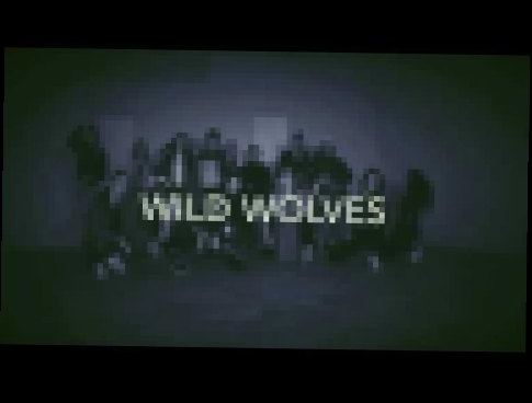 Музыкальный видеоклип WILD WOLVES / TATARKA - АЛТЫН 
