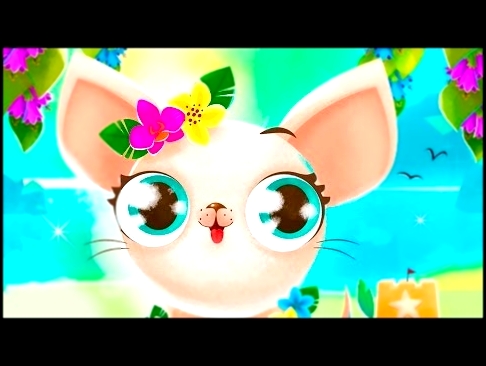 Мисс Голливуд - мультик игра для детей про собачек и кошек #ПУРУМЧАТА 