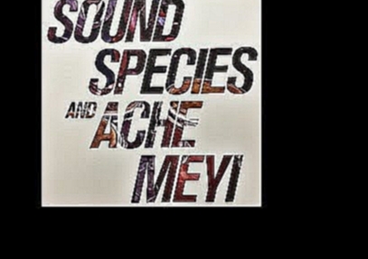 Музыкальный видеоклип Soundspecies and Ache Meyi - Eguá : Mawa 