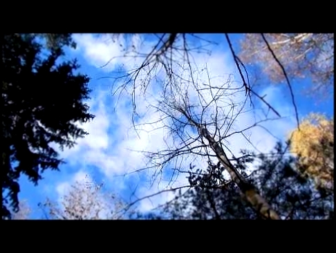 Музыкальный видеоклип Осеннее небо и покупка продуктов 