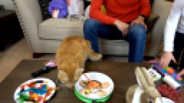 Музыкальный видеоклип День Рождения Кошечки Мурки 5 этажный дом и Кролик в подарок Макс и Катя съели К 