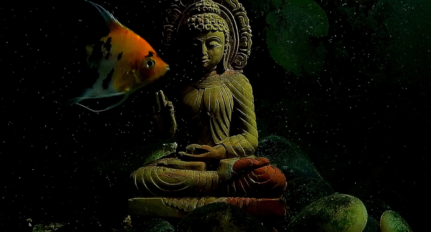 Музыкальный видеоклип Будда Вода (Buddha bar lounge chillout  relax music  remix meditation) 