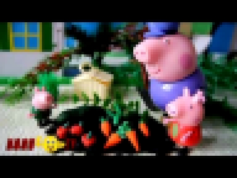 Свинка Пеппа новые серии - Собираем Дедушкин урожай. Мультики для детей Peppa Pig Мультфильмы. 