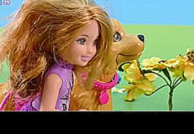 Барби, Челси и какающая собака в гостях у пони из My Little Pony Мультик из игрушек Серия 