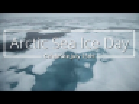 Arctic Sea Ice Day 