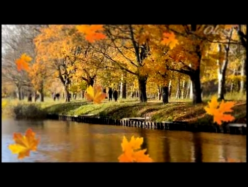 Музыкальный видеоклип Листья желтые над городом кружатся 