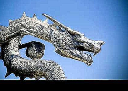 Китайские драконы 