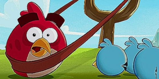 Злые птички мульт / Angry Birds Toons  -  11 серия 