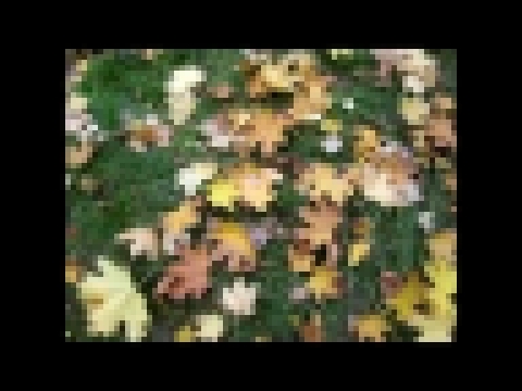 Музыкальный видеоклип Листья желтые над городом кружатся 