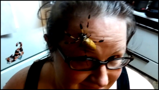  Гигантский паук ползет по лицу 